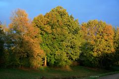 Morgenlicht - Herbst 2