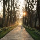 Morgenlicht im Blühenden Barock