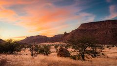 Morgenlicht im Damaraland