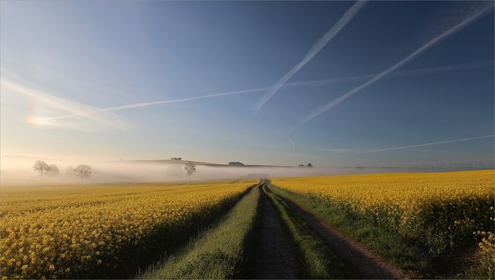 Morgenlicht im Frühjahr