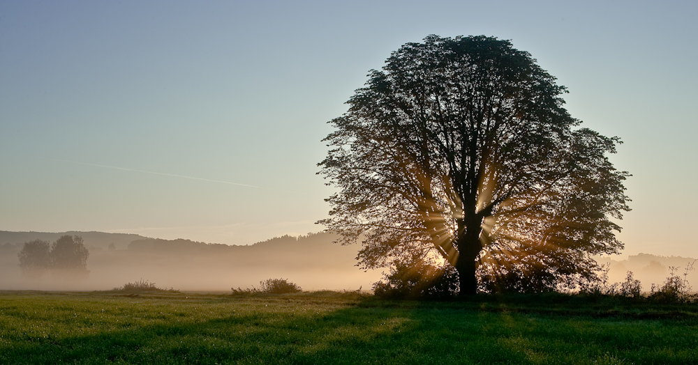 Morgenlicht im Goldenen Oktober