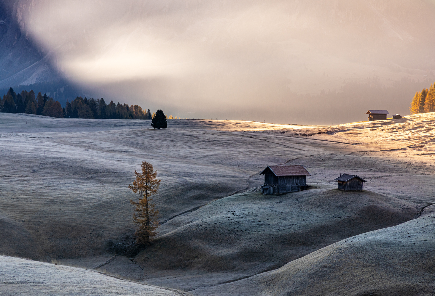 morgenlicht im hartl