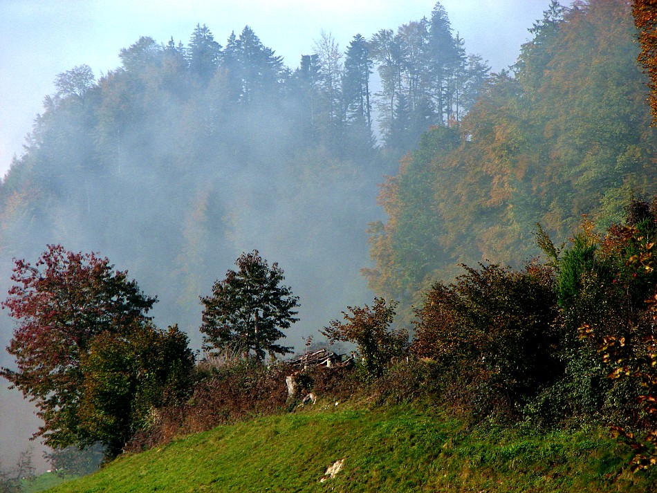 Morgenlicht im Herbst