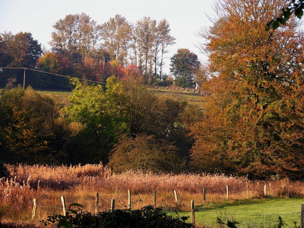 Morgenlicht im herbstlichen Paustenbachtal // Simmerath