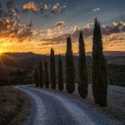 Morgenlicht im Orcia Tal