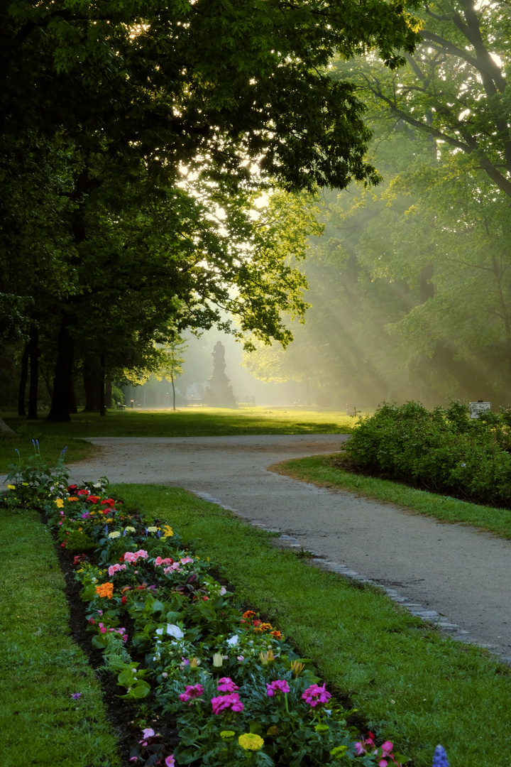 Morgenlicht im Schlossgarten Erlangen