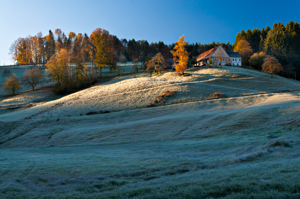 Morgenlicht im Spätherbst