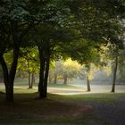 Morgenlicht im Stadtpark