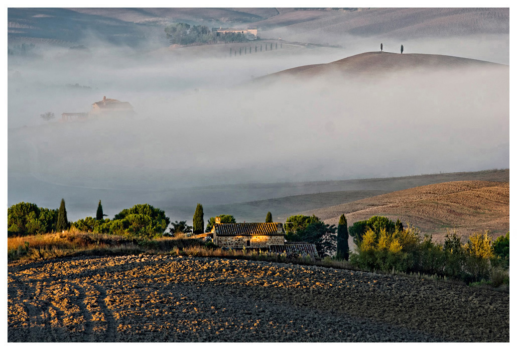 Morgenlicht im Val d'Orcia...