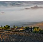 Morgenlicht im Val d'Orcia...