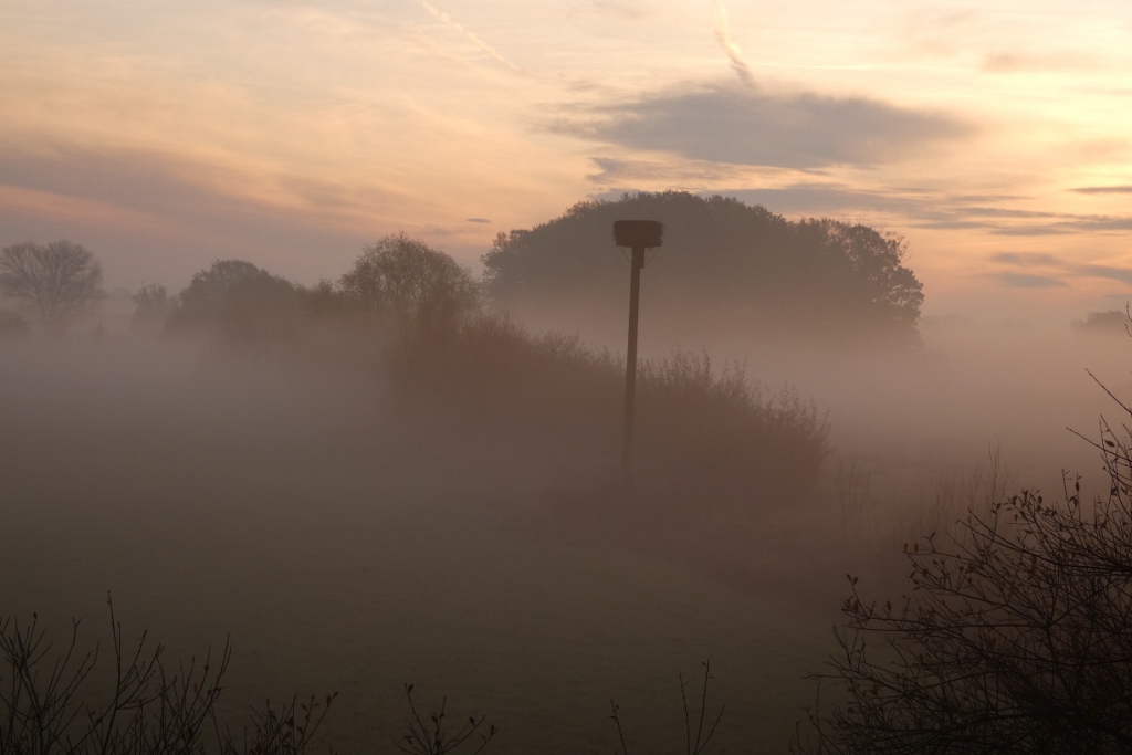 Morgenlicht in der Disselmersch bei Lippborg