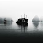 Morgenlicht in der Ha Long Bucht