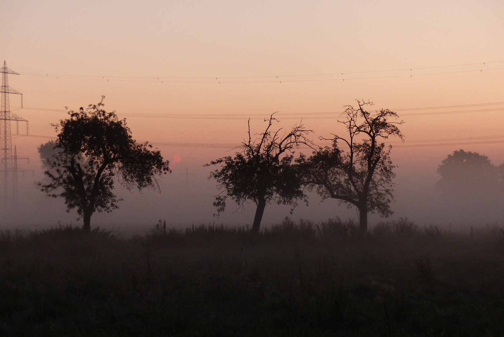 Morgenlicht in der Hammer Lippeaue