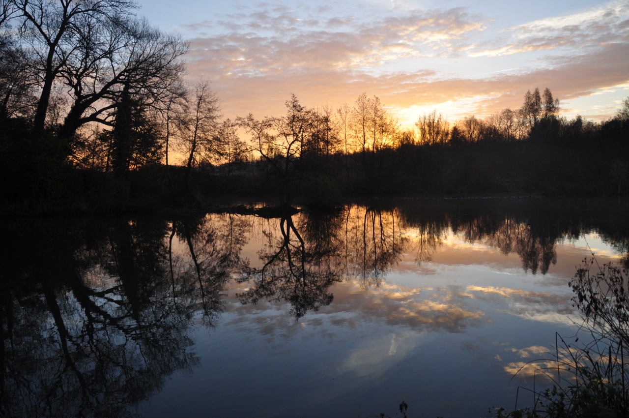 Morgenlicht in der Lippeaue bei Schloss Heessen