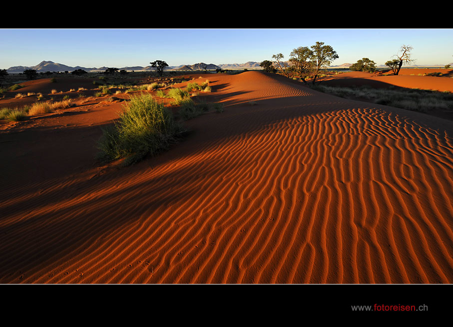 Morgenlicht in der Namib