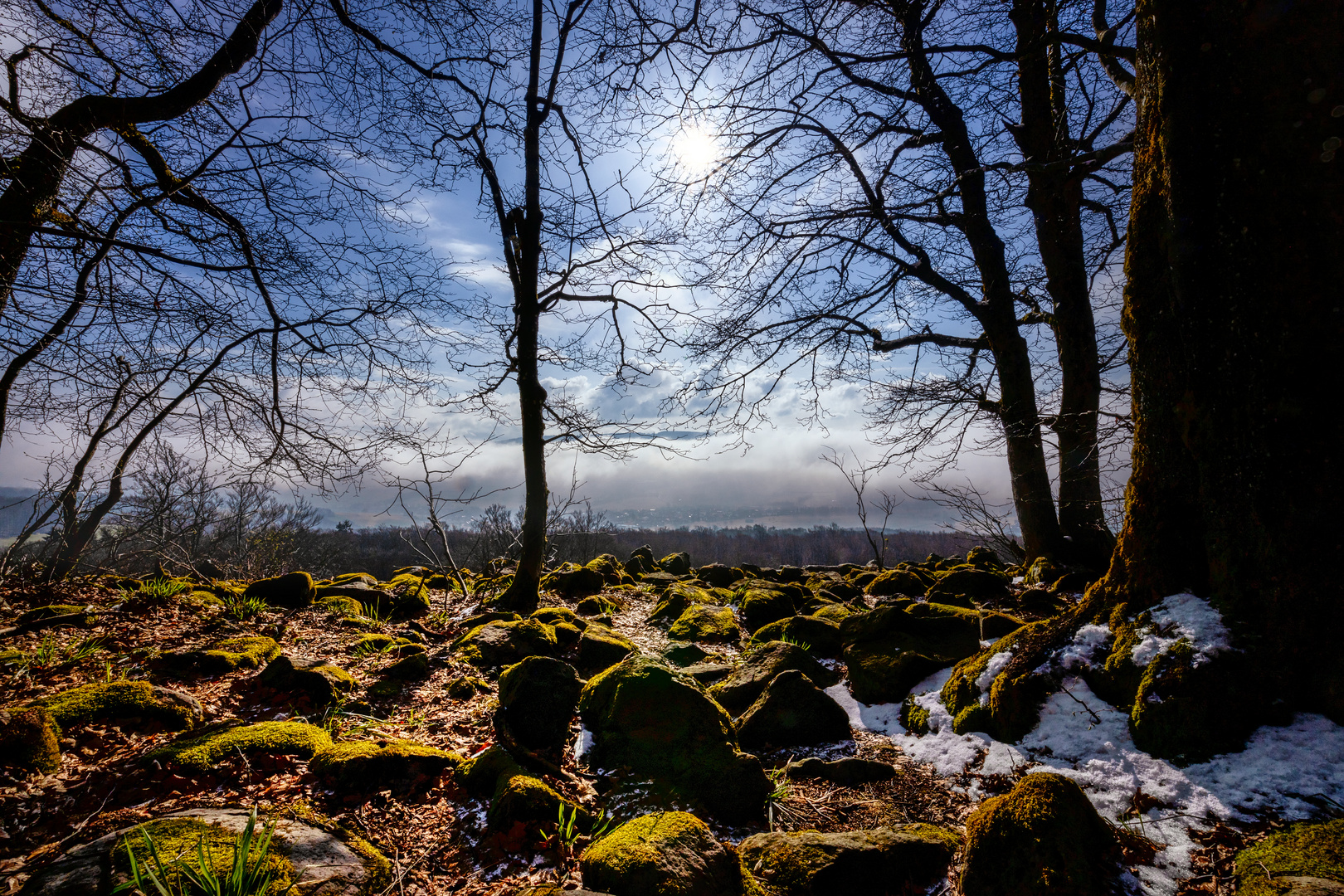 Morgenlicht in der Rhön