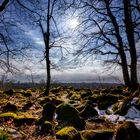 Morgenlicht in der Rhön