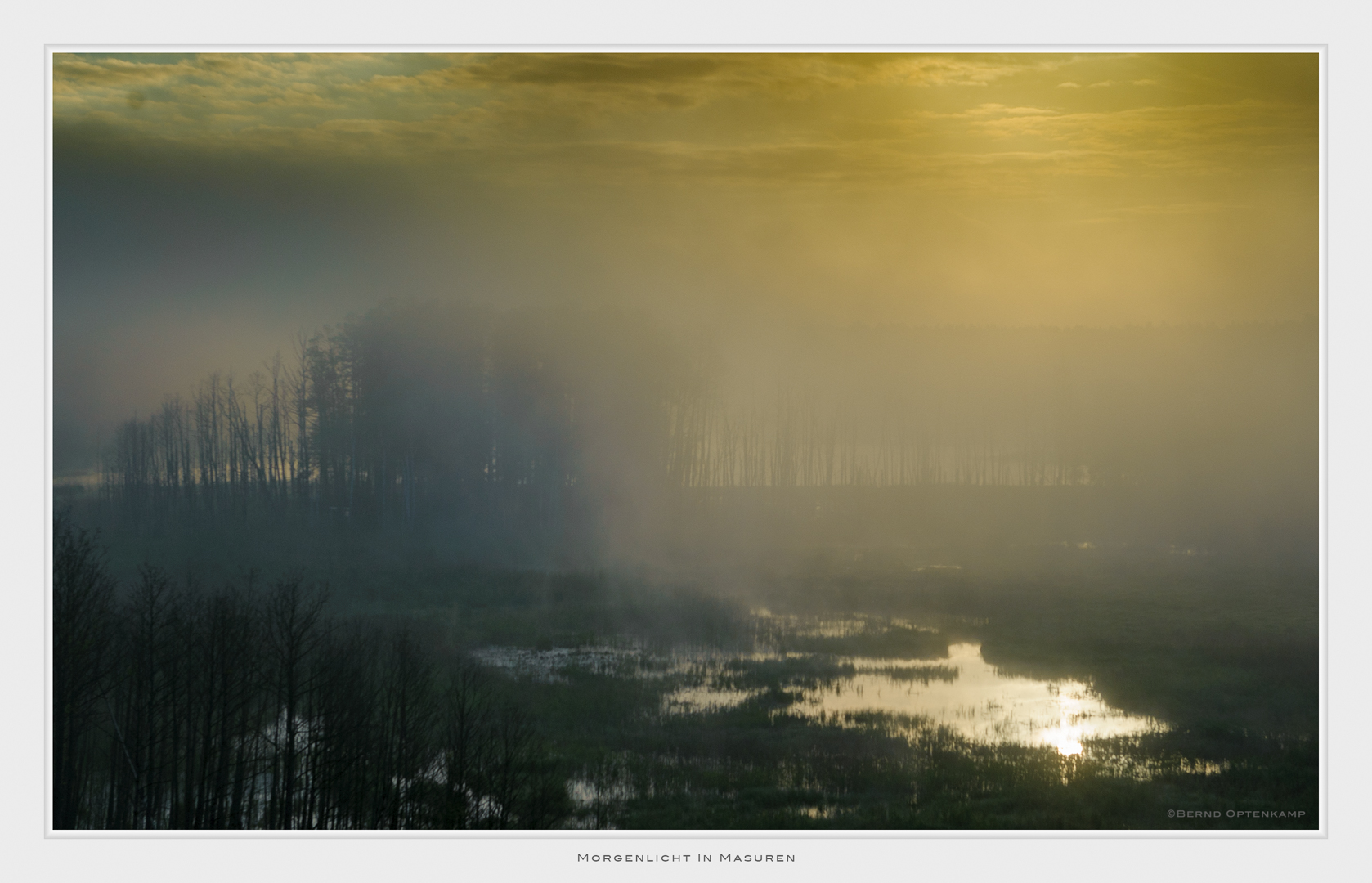 Morgenlicht In Masuren