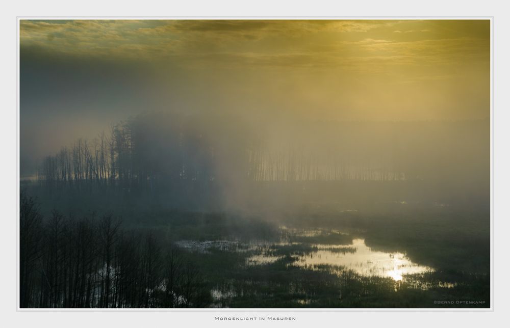 Morgenlicht In Masuren