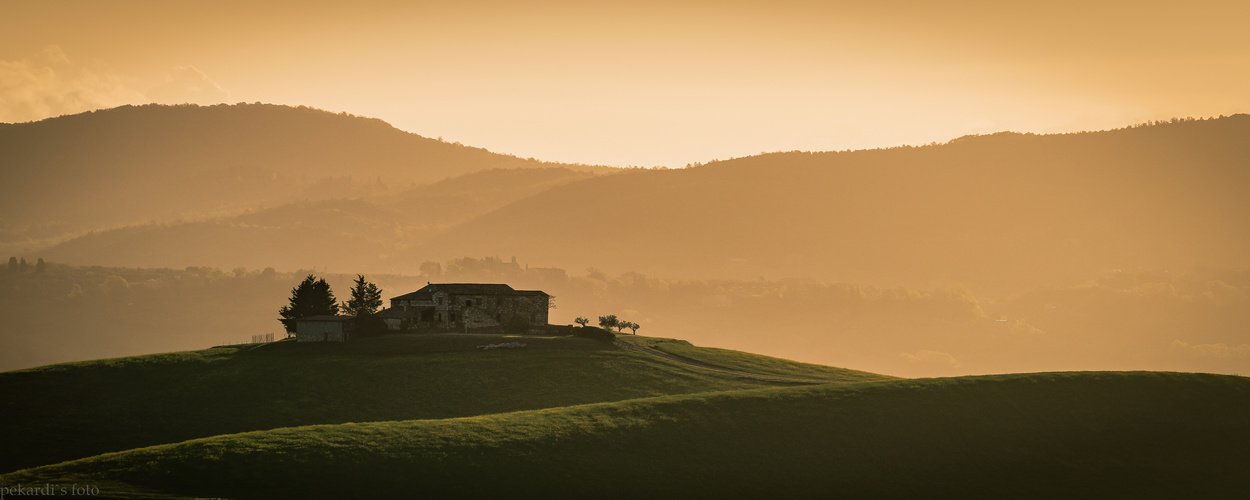 Morgenlicht in Toscana