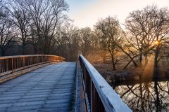 Morgenlicht über der Jonitzer Mulde