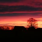 Morgenlicht um 8 Uhr in Hamm-Uentrop