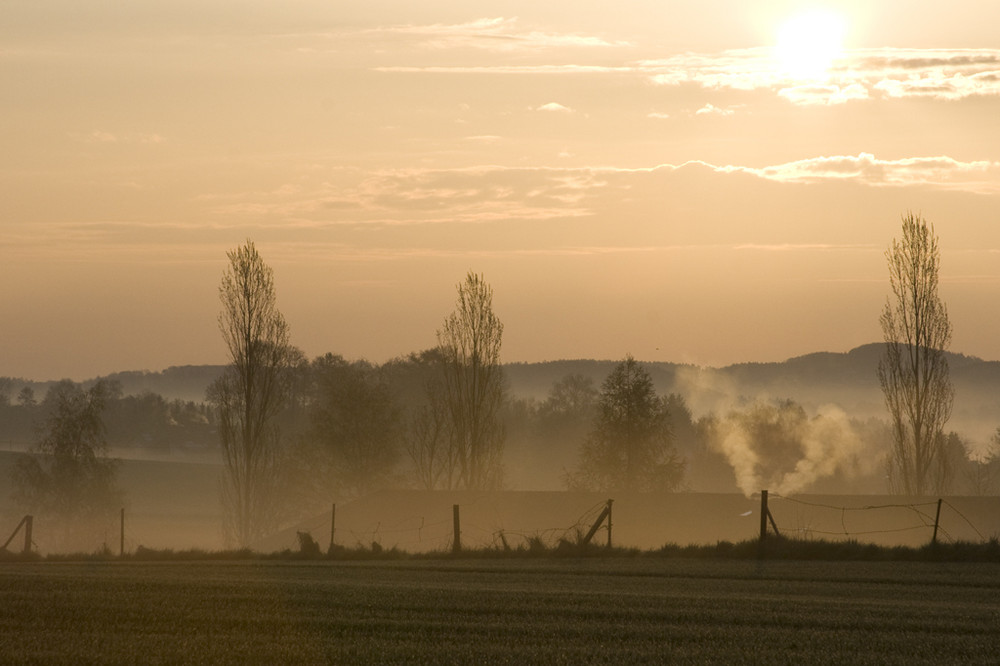 Morgenluft