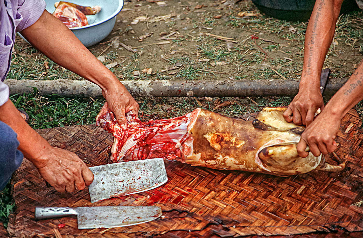 Morgenmarkt in Muang Sing/Laos #11