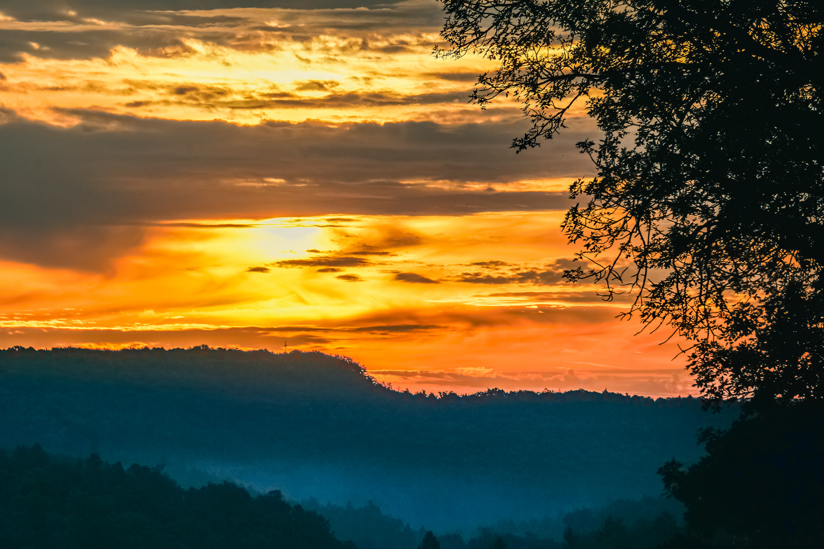 Morgenmoment in Orange