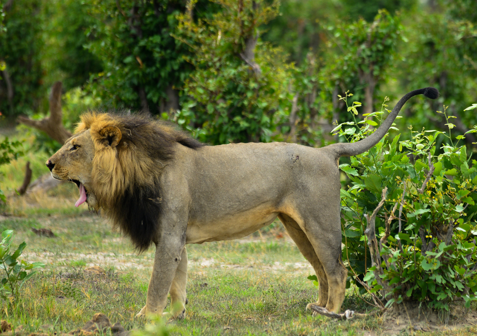 Foto & Bild world, natur, afrika Bilder auf