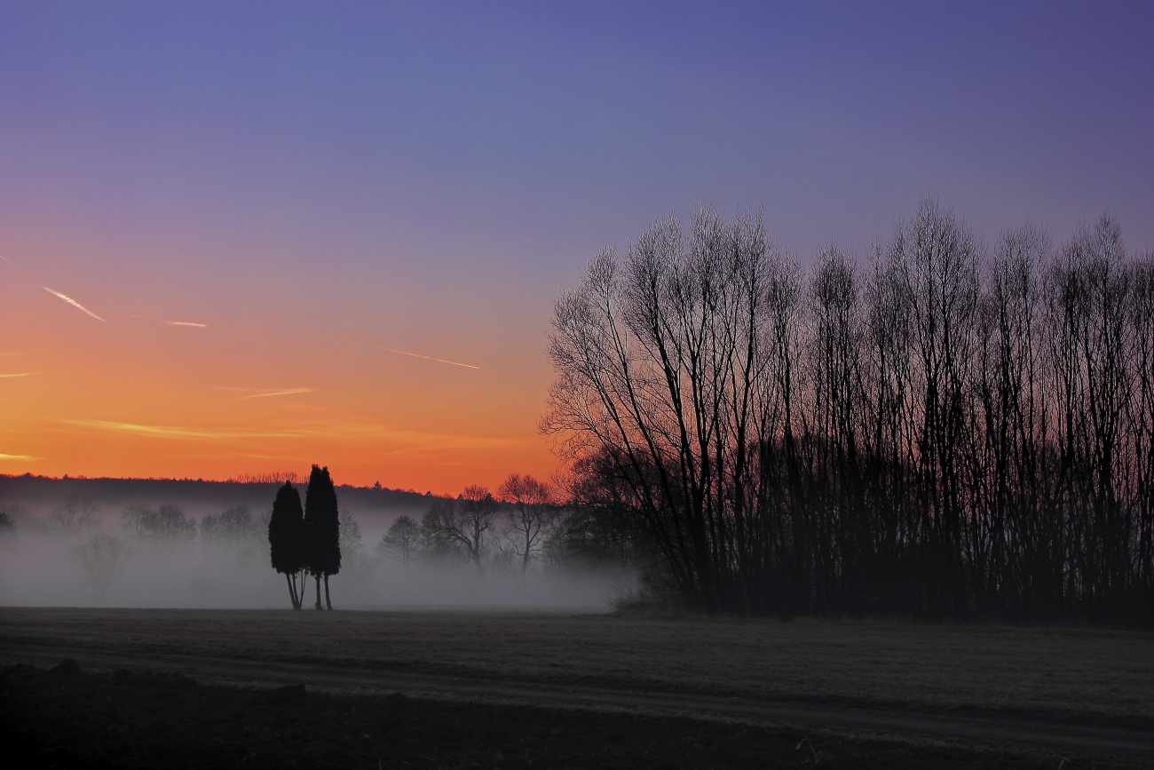 Morgennebel