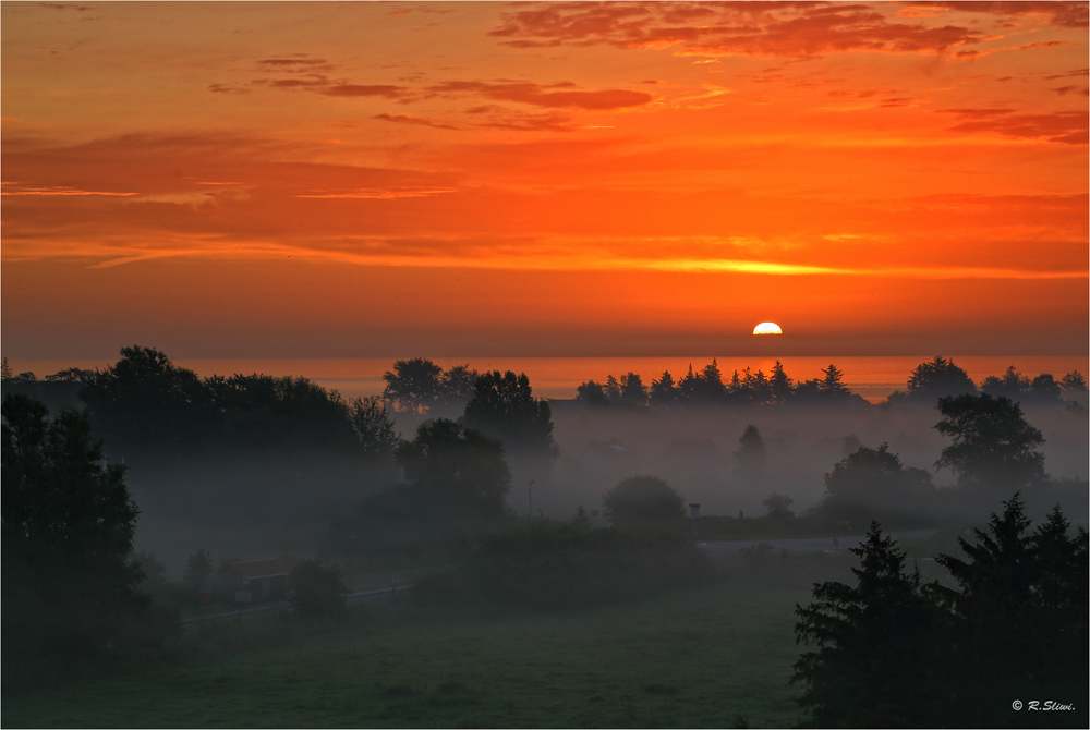 Morgennebel