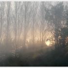 Morgennebel 01