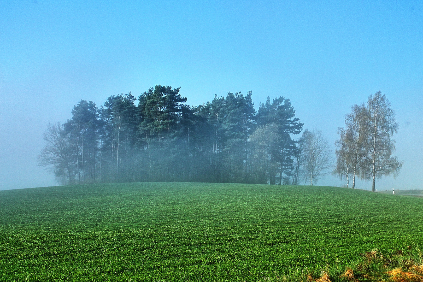 Morgennebel