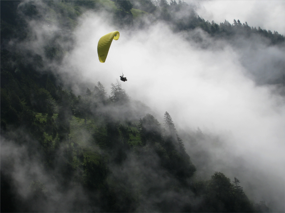 Morgennebel