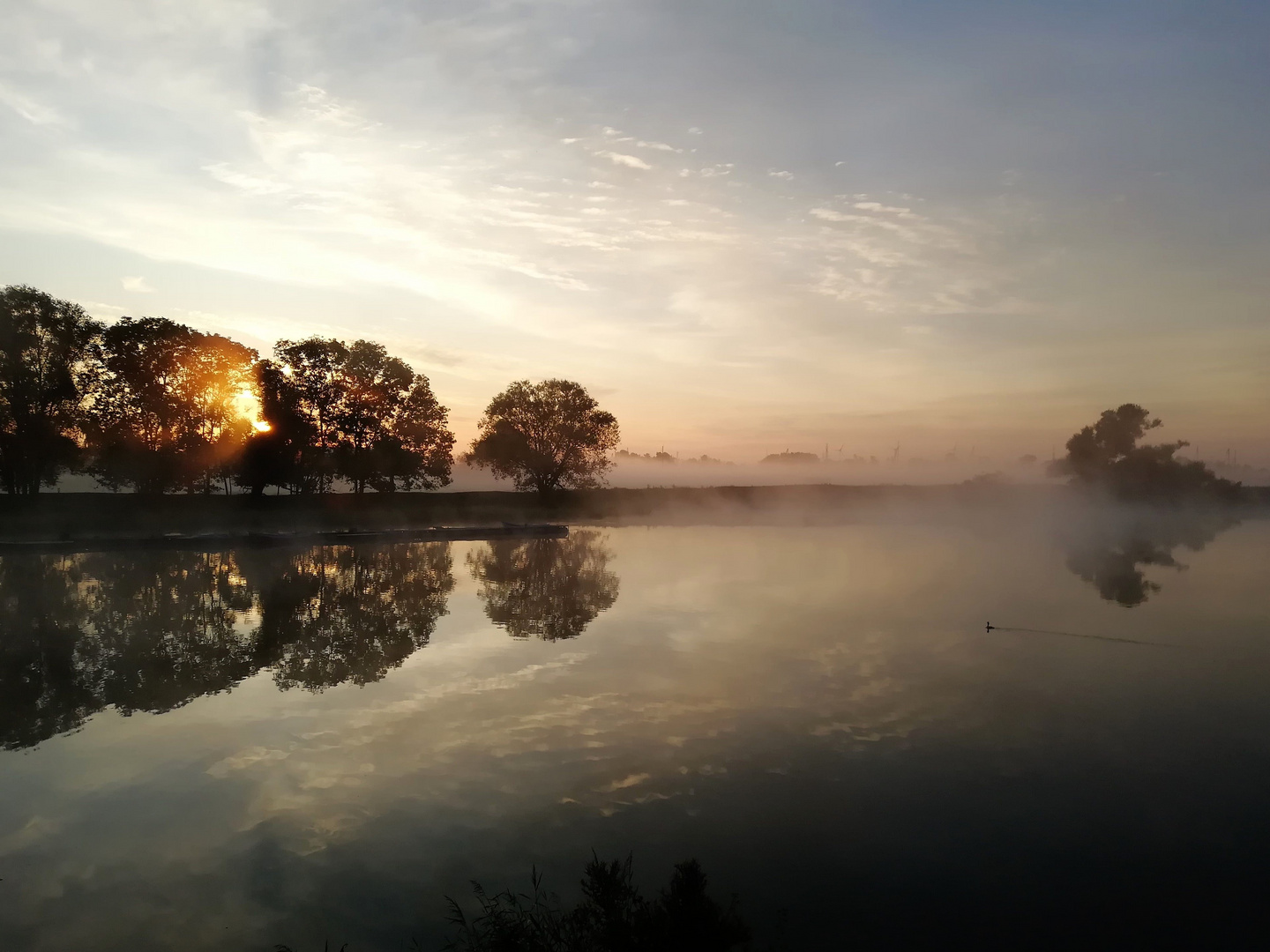 Morgennebel