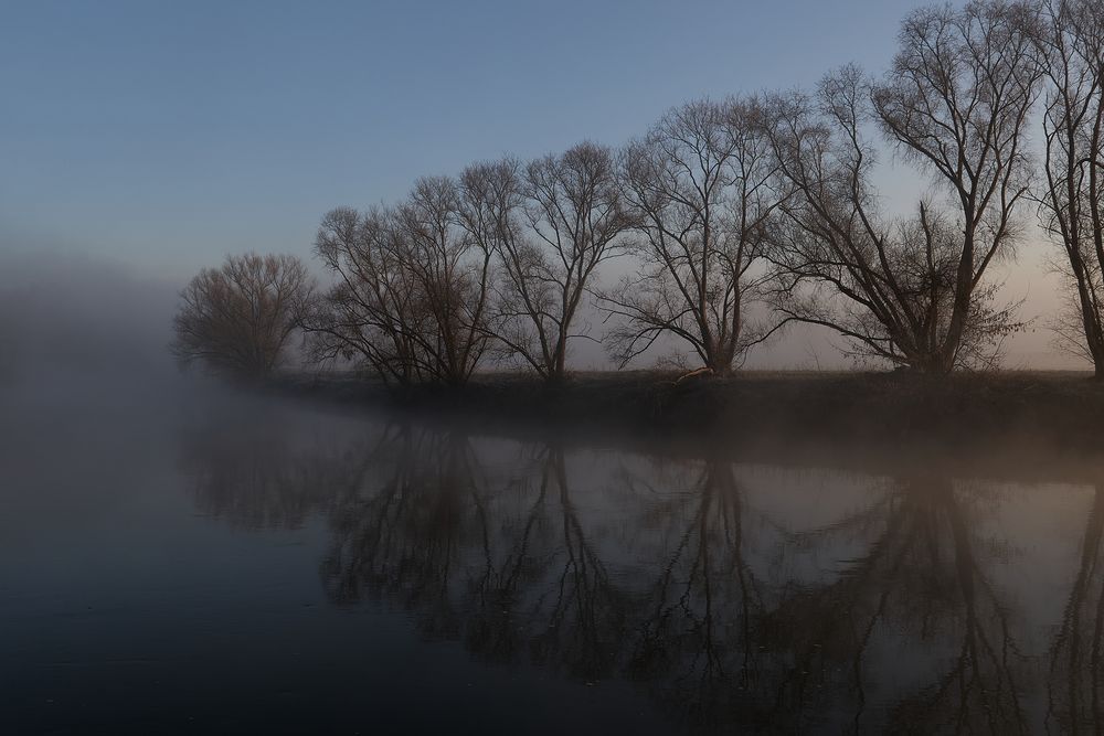 Morgennebel ...