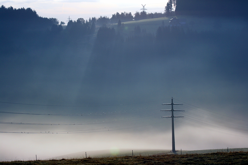 Morgennebel