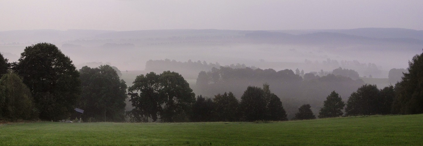 Morgennebel