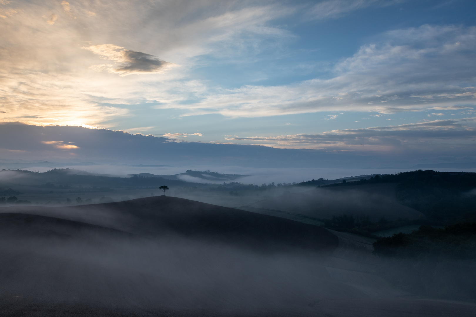 Morgennebel