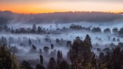 Morgennebel