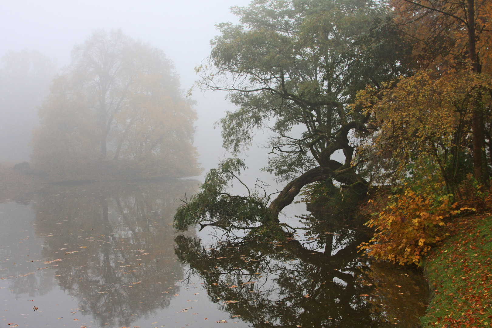 Morgennebel