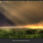 Morgennebel