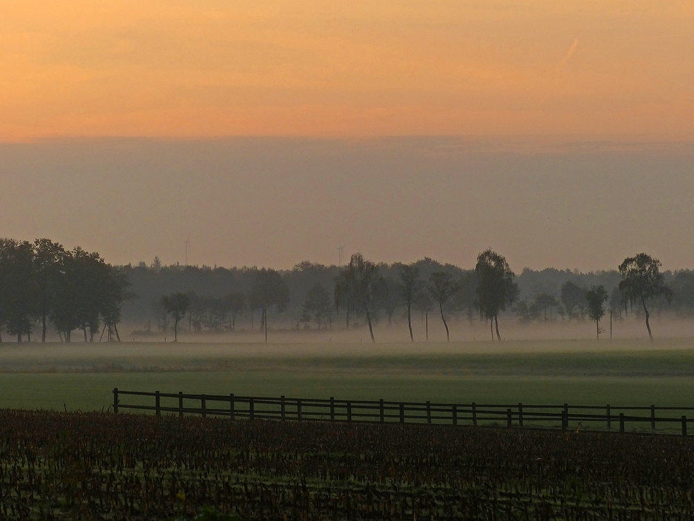 Morgennebel