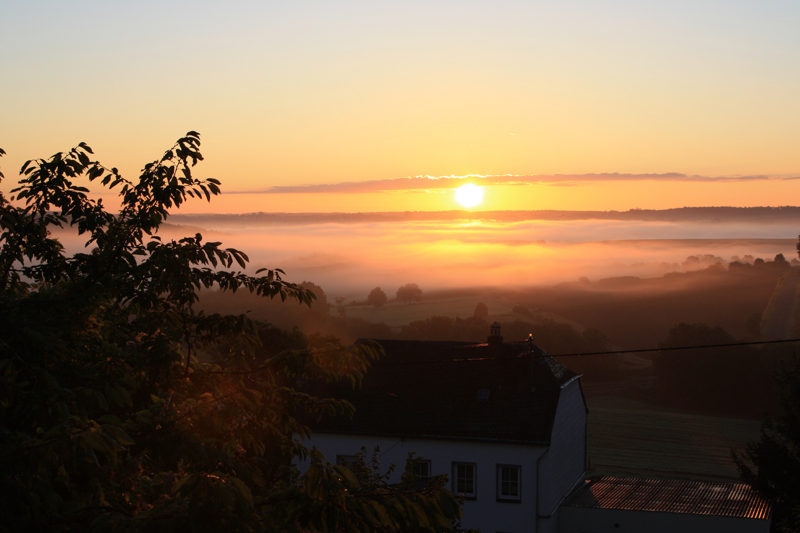 Morgennebel