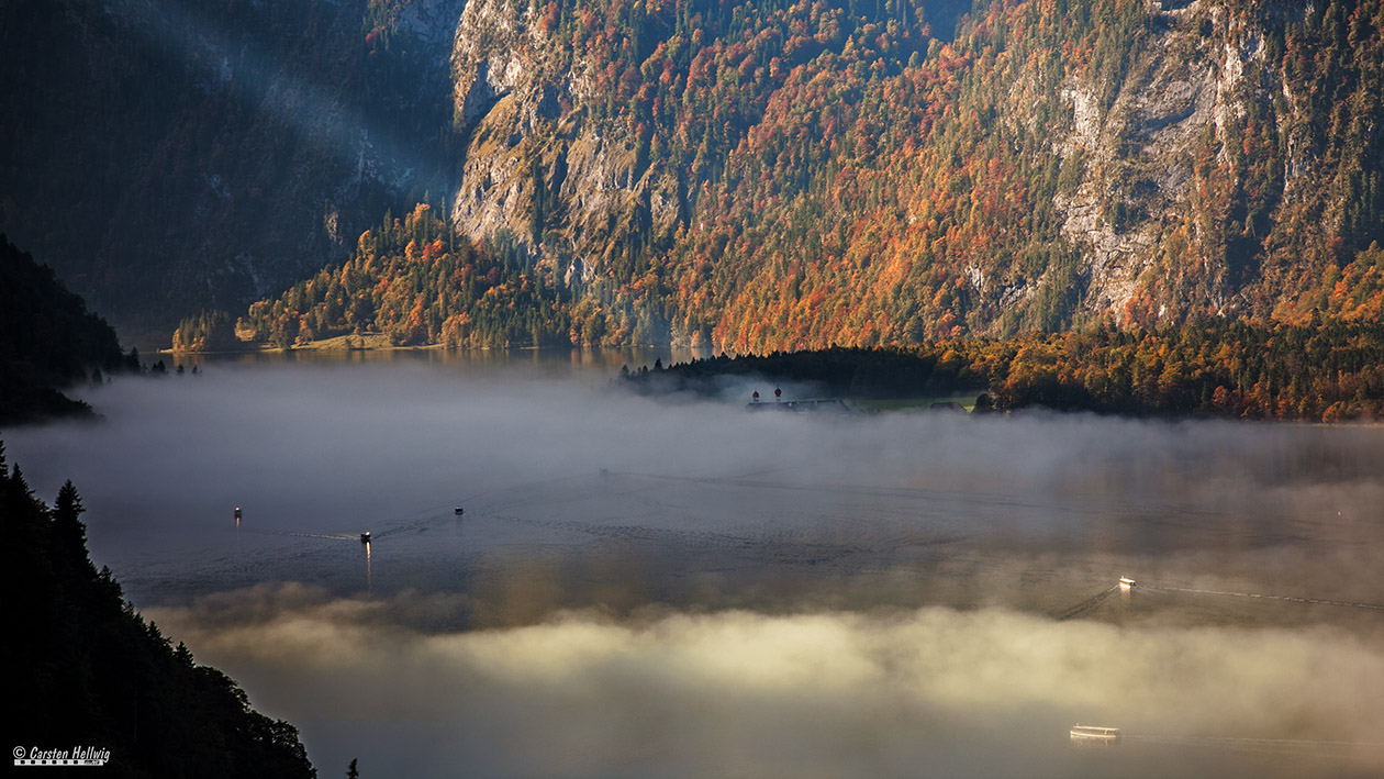 Morgennebel