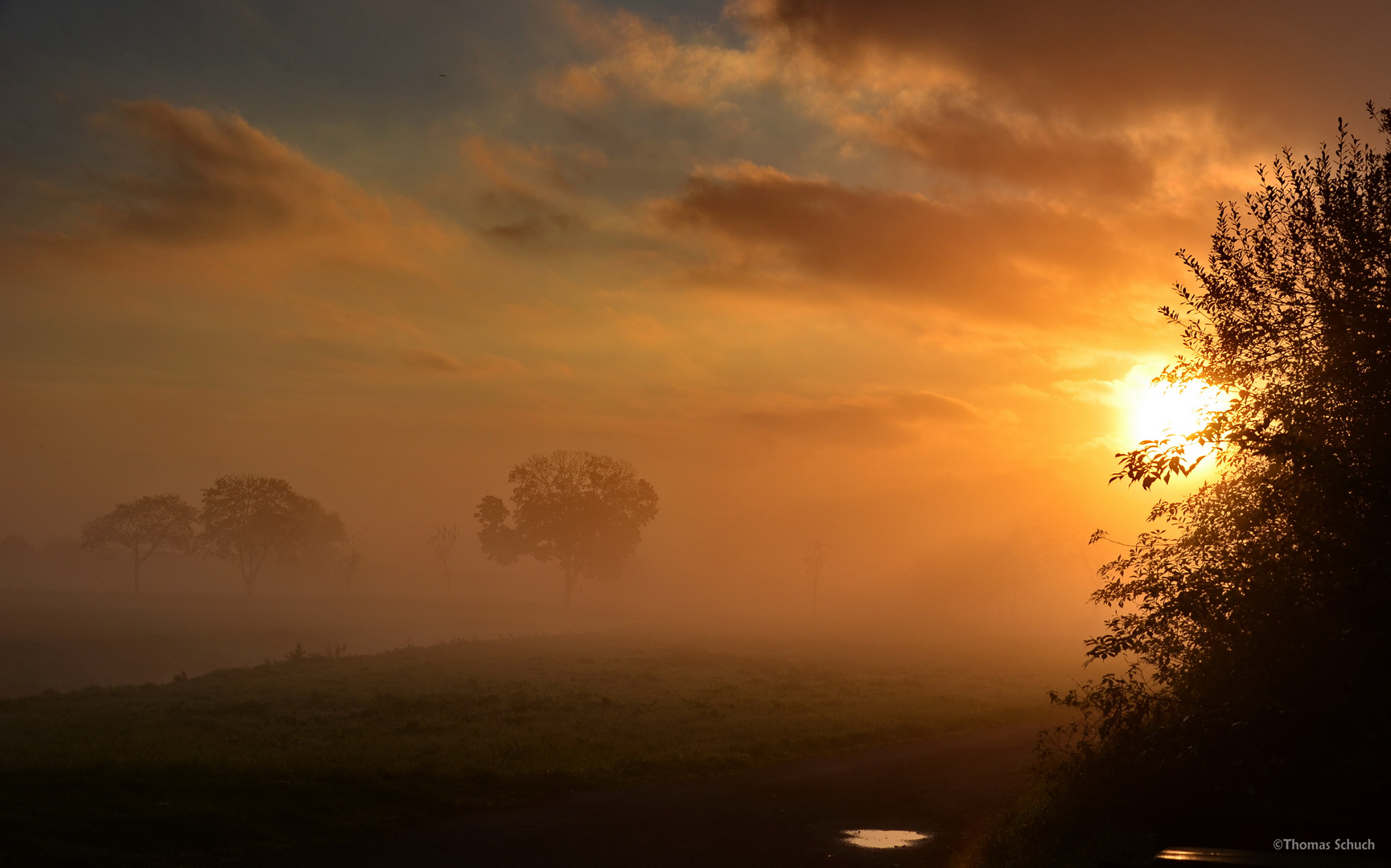 Morgennebel