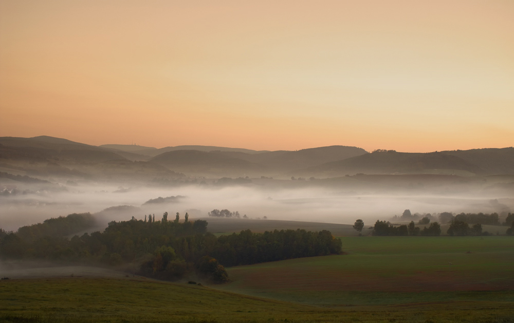 Morgennebel