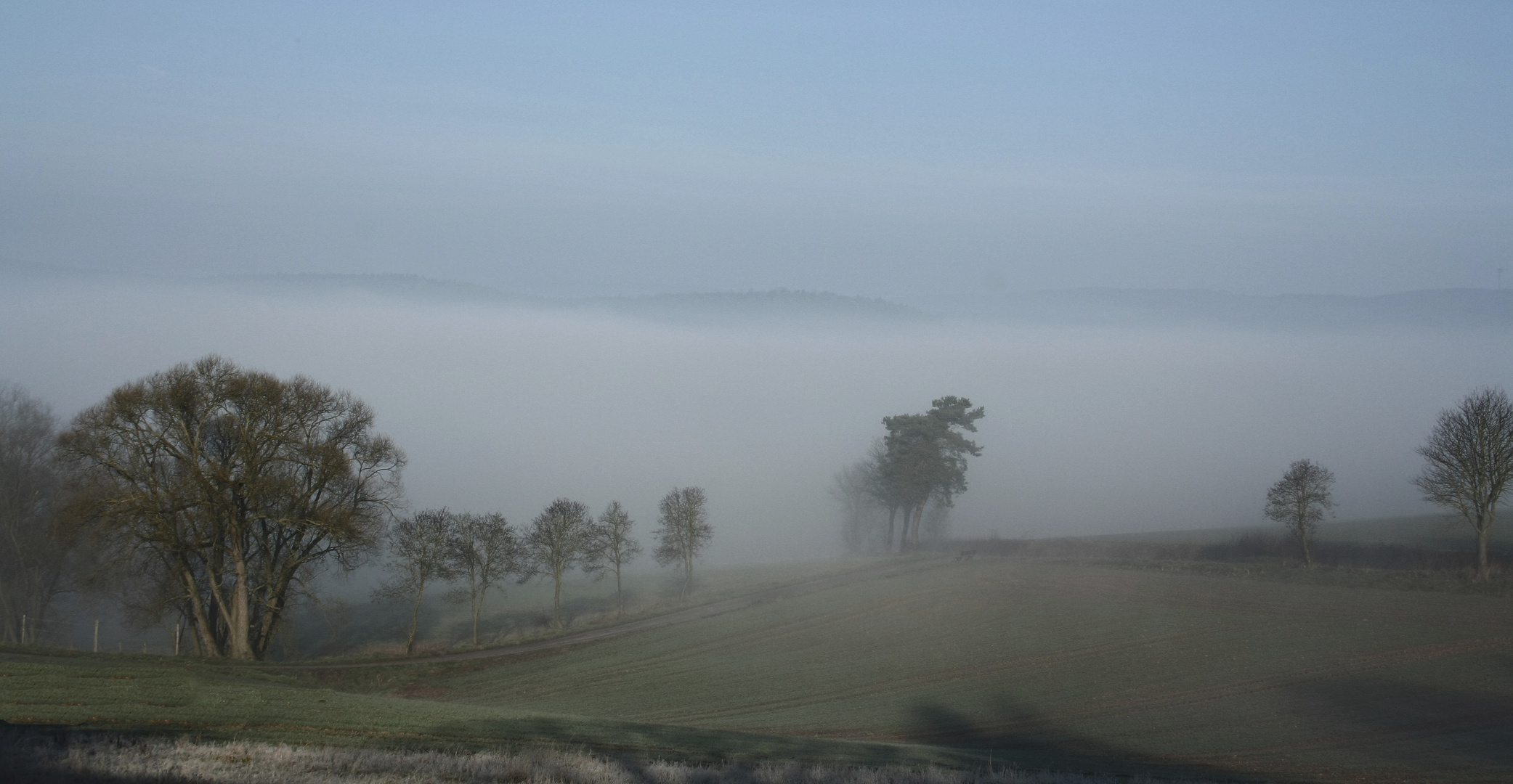 Morgennebel