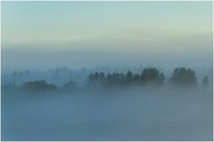 Morgennebel